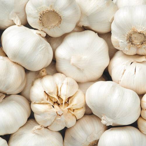Garlic Garcua