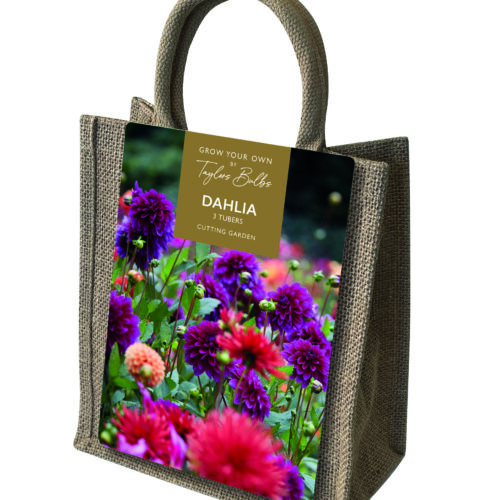 Dahlia Jute Gift Bag