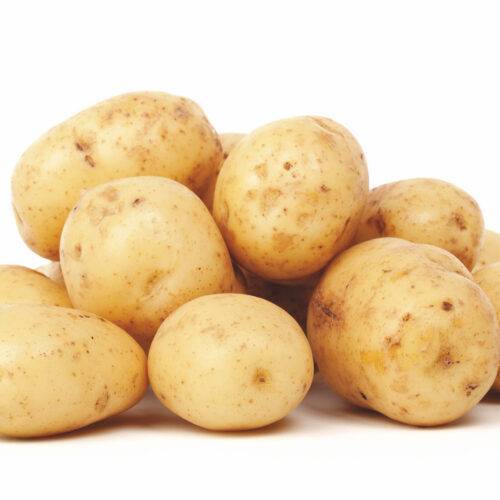 Potato Rocket
