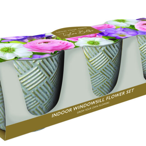 Indoor Flower Bulb Zinc Trio