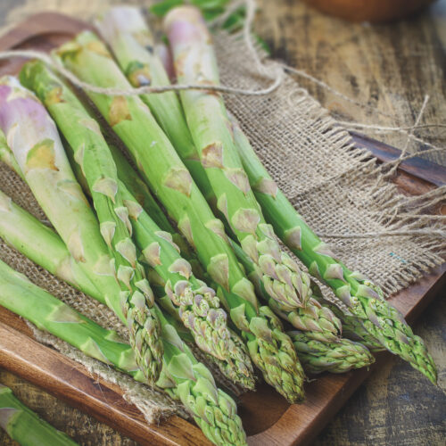 Asparagus Connover's Colossal