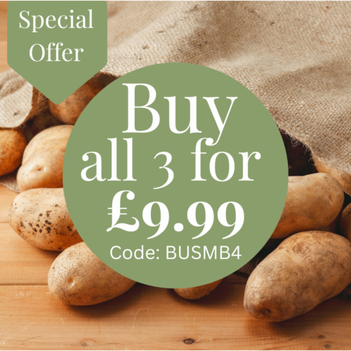 Potato Buy all 3
