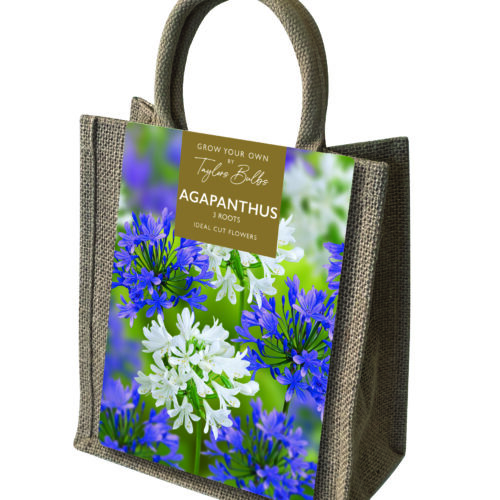 Agapanthus Jute Gift Bag