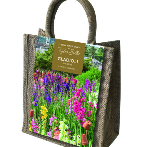 Gladioli Jute Gift Bag