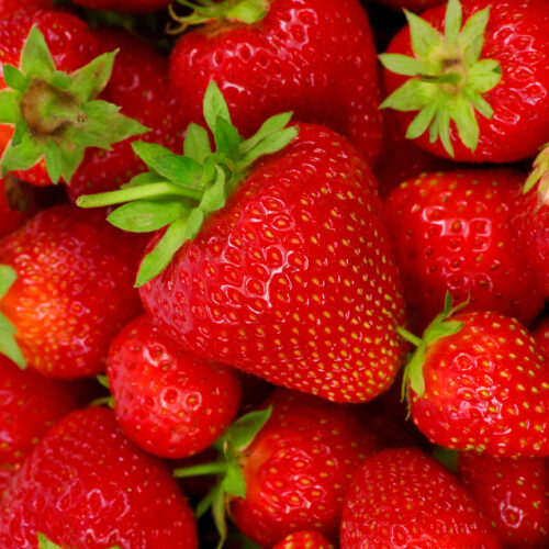Strawberry Cambridge Favourite